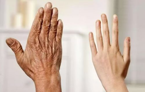 全测评！2025年度十佳护手霜品牌OG真人护手霜什么牌子的效果好？超(图3)